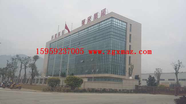 中建科技智欣集团